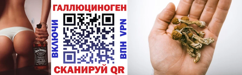 Купить  Улан-Удэ  Галлюциногенные грибы Psilocybine cubensis 